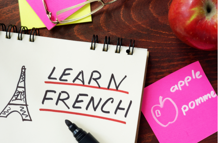 Class 6 french Course